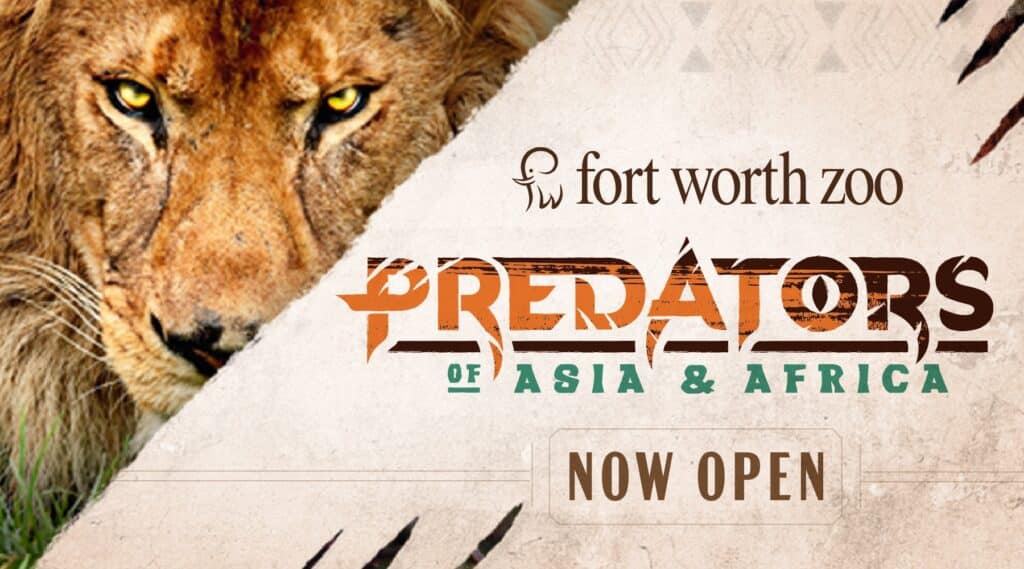 Mark your calendars for the opening of Predators of Asia & Africa - 360 ...