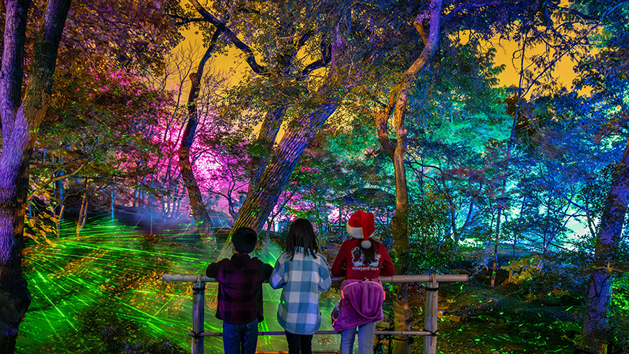 Children standing on a bridge observing a holiday light installation at Fort Worth Botanic Garden