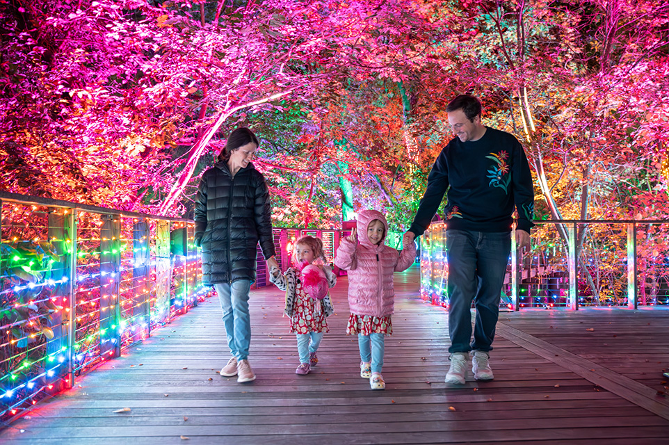 A family walks across a bridge at Fort Worth Botanic Garden, surrounded by lighted trees of various colors