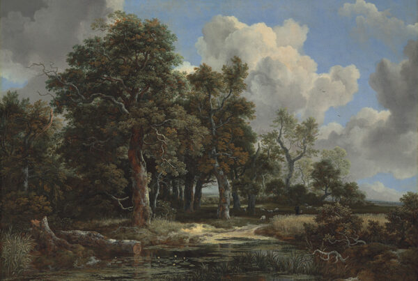 Jacob van Ruisdael, Edge of a Forest with a Grainfield, c. 1656, oil on canvas. Kimbell Art Museum