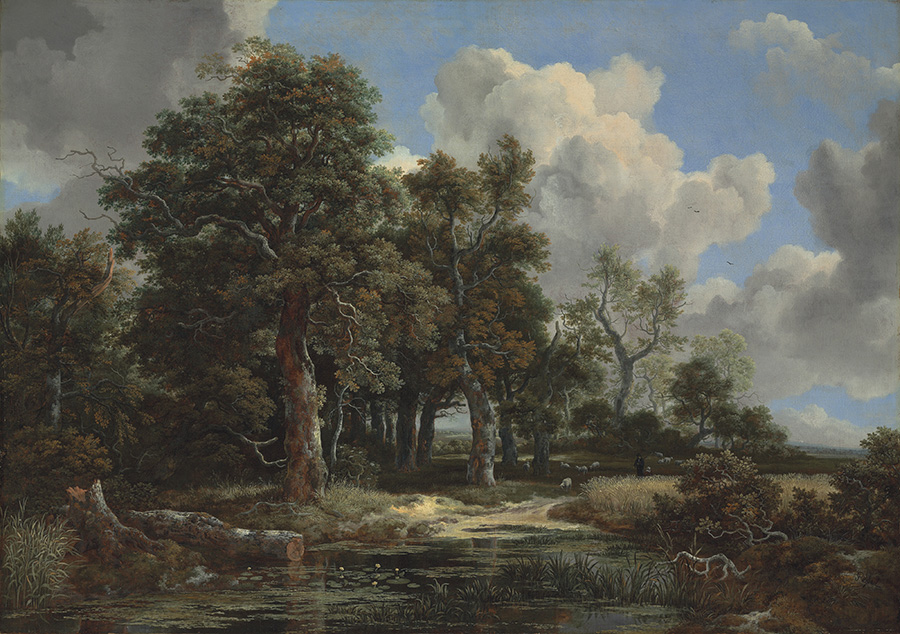 Jacob van Ruisdael, Edge of a Forest with a Grainfield, c. 1656, oil on canvas. Kimbell Art Museum