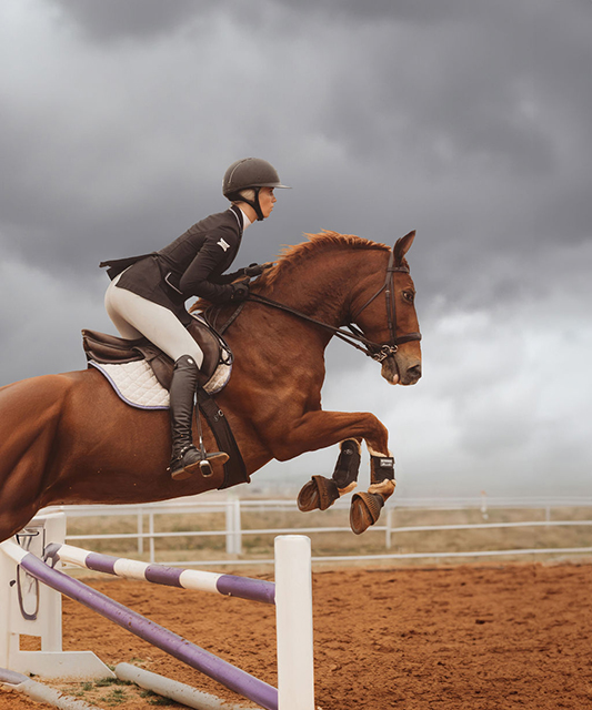 One of TCU equestrian's student-athletes and her horse are mid-jump.