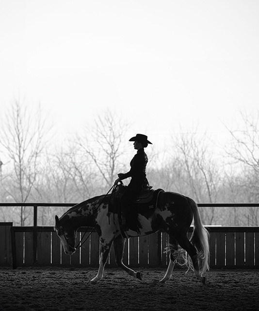 A silhouette of one of TCU equestrian's student-athletes riding a horse in an arena.