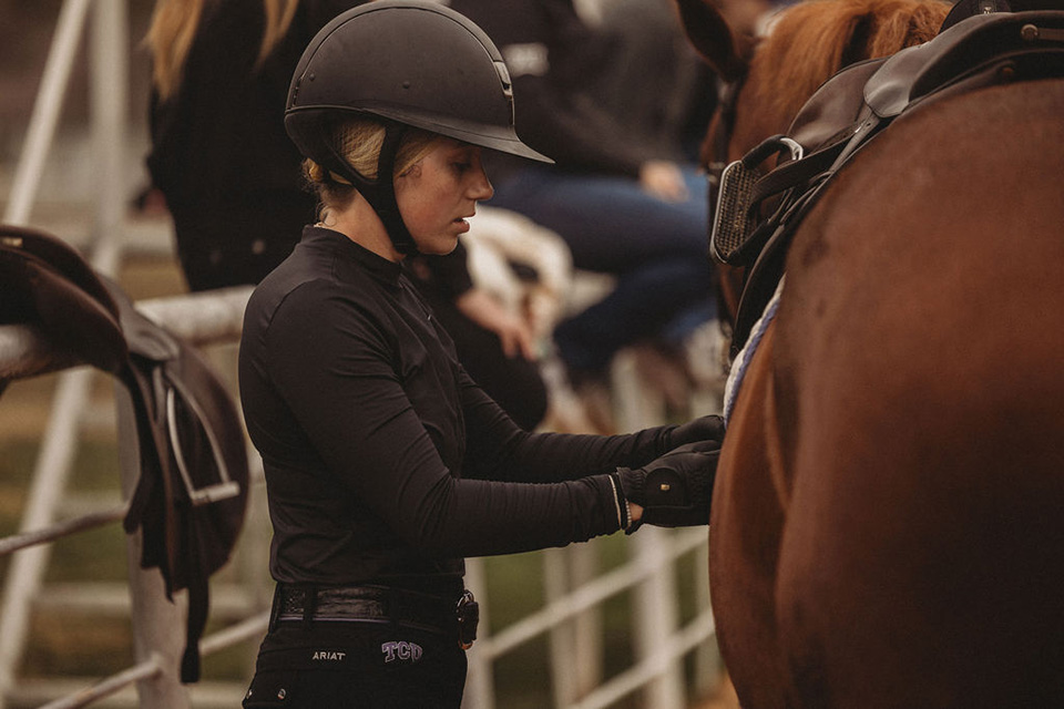 A horse is readied for competition