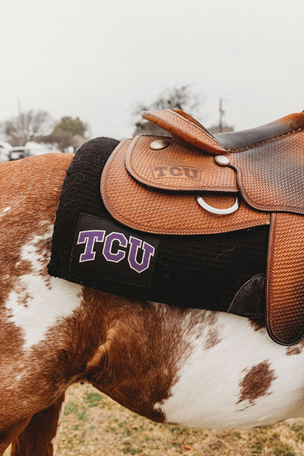 A horse wears a saddle with "TCU" engraved