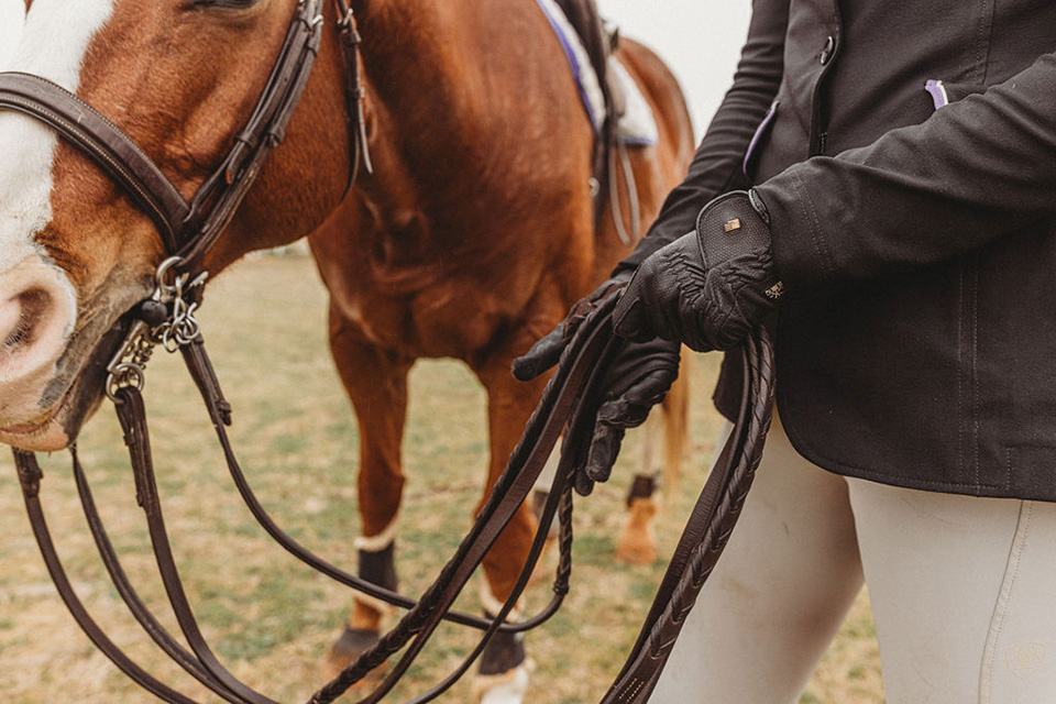 A student-athlete leads a horse.