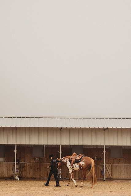 A horse is led back to the barn