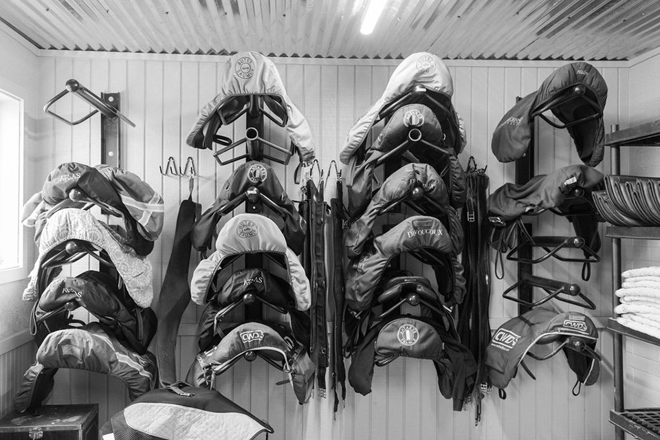 A wall of saddles in the tack room at Bear Creek Farms.