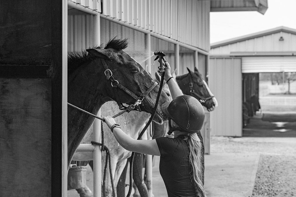 One of TCU's student-athletes readies a horses bridle.