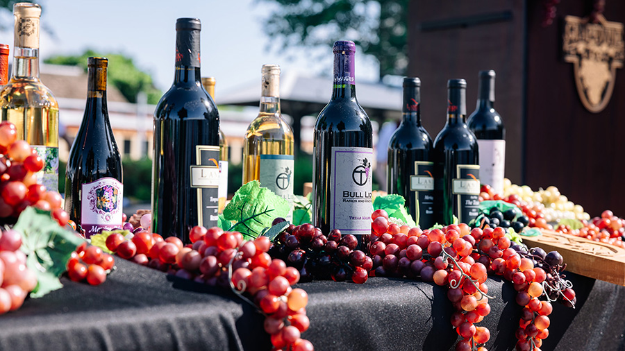 Wines and grapes at the Spring Wine Trail in Grapevine